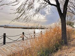 -野鸭湖国家湿地公园