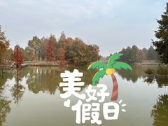 -宁波杭州湾国家湿地公园