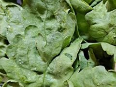 -正福居老北京正宗铜锅泉水涮肉(彰化路店)