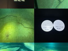 -白鹤梁水下博物馆