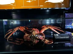 -同济大学四平路校区深海探索馆