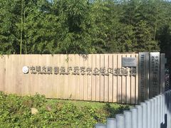 -都江堰中华大熊猫苑
