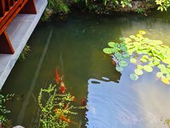 -中国茶叶博物馆(双峰馆区)