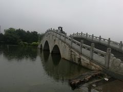 -飞来湖湿地公园