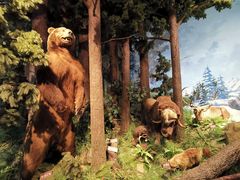 -陕西自然博物馆