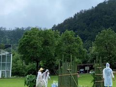 -怪咖·joker陈楠