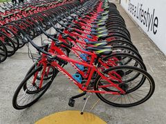 -前小桔亲子创意农场·草莓采摘·露营烧烤