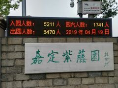 -嘉定紫藤园