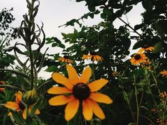 -北仑森林植物园