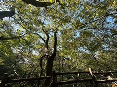 -天目湖山水园