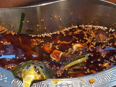 -胖子鱼·天水麻辣鱼火锅(秦州407店)