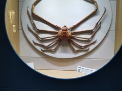 -青岛海底世界-水族馆