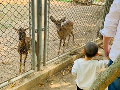 -西安秦岭野生动物园