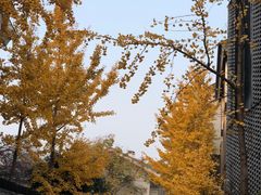 -香积寺