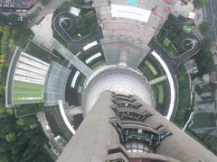 -东方明珠国际旅行社有限公司