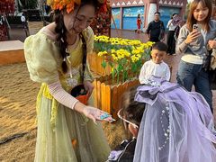 -郑州方特梦幻王国