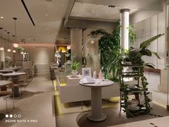 大堂-théATRE 茶聚场(王府中環店)