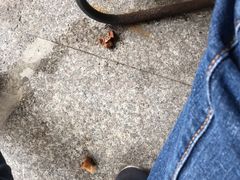 -三鄉濑粉·铭珠粥粉