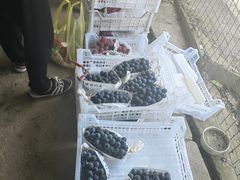 -马陆小张葡萄园农家乐