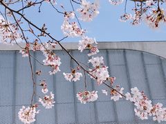 -龙美术馆(西岸馆)