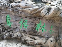 -燕塞湖鸟语林景区