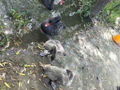 -长兴太湖图影湿地文化园