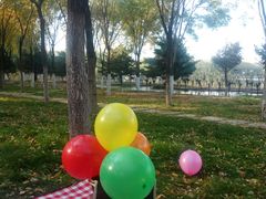 -大兴滨河森林公园