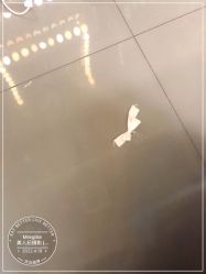 点击看大图 -Mregina 美人纪摄影(样片研发中心)