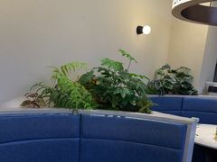 -兰湘子·湘菜小炒(盛龙广场店)