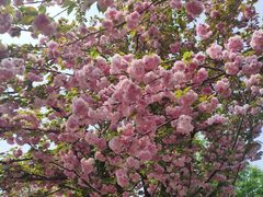 -南通洲际绿博园