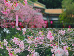 -宝墨园景区