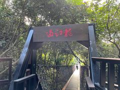 -亚龙湾热带天堂森林公园