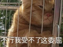 -蓟县盘山滑雪场