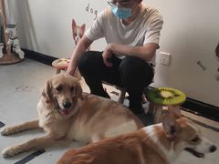 -汪说·狗咖(旺城大厦店)