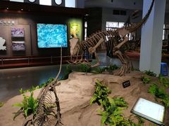 -自贡恐龙博物馆