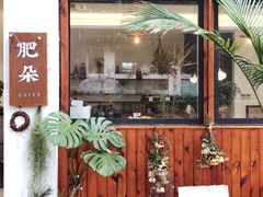 -肥朵食堂(带梦胡同店)