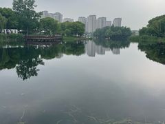 -新江湾城公园