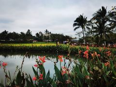 -蔡家宅