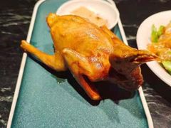 红烧乳鸽-大鸽饭(北京路店)