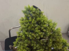 -凯平棋牌会所(永惠大厦店)