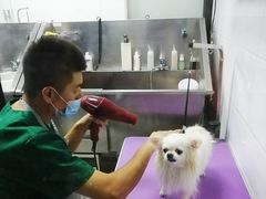 -中农国际动物医院24小时·猫科·骨科·急重症中心