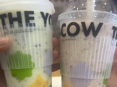 -一只酸奶牛(双流万达广场店)