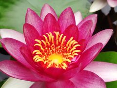 -镇江市南山风景名胜区竹林景区