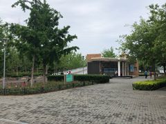 -大兴滨河森林公园