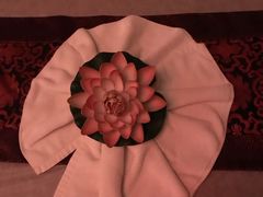 -北纬37°SPA养身会馆(湖西店)