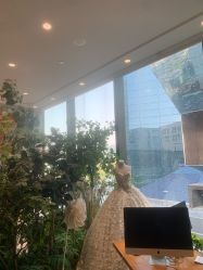 -MuseMarry婚纱(前海嘉里中心店)
