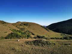 -大姆山草场