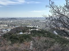 -北京西山国家森林公园