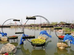 -荷兰花海
