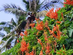 -三亚南山文化旅游区